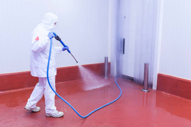 Best Boat and Dock Cleaning  in Rainbow Lakes Estates, FL