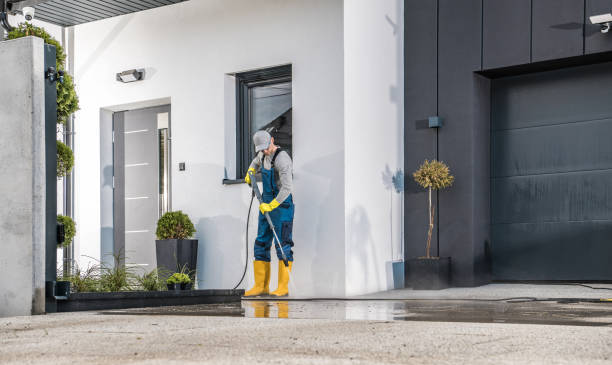 Best Rust Removal  in Rainbow Lakes Estates, FL